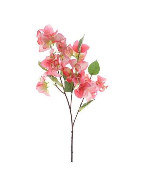 BOUGANVILLEA (6253-24)