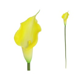 VARA CALA LATEX-60 CM (AMARIL