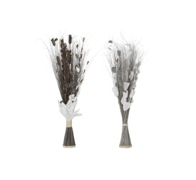 RAMO FIBRA COCO 35X20X100 2 SURT.