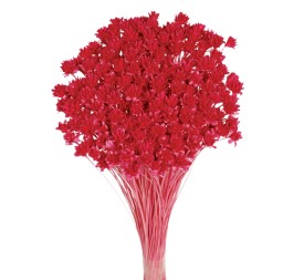 HILL FLOWER 45 cms. ROSA (45)