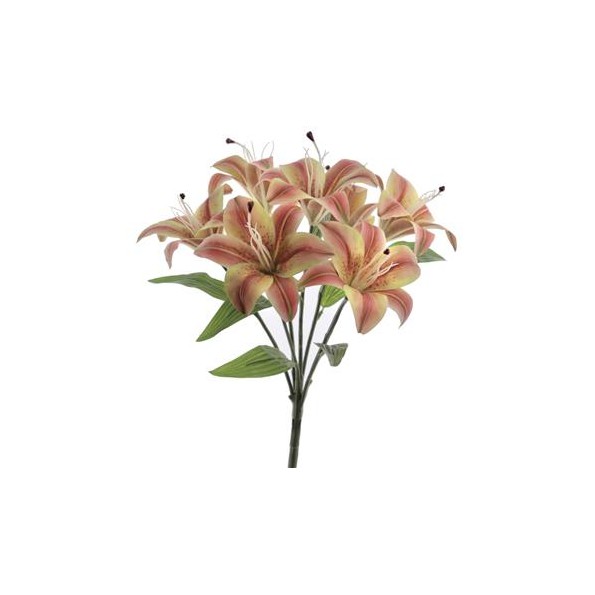 RAMO LILIUM X 7 (T.N.) (5200-40)