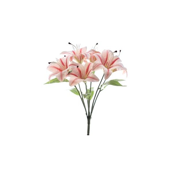 RAMO LILIUM X 7 (T.N.) (5200-54)