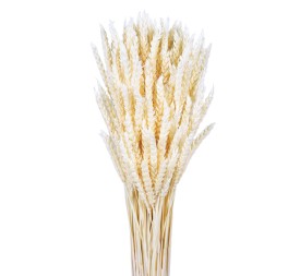 TRIGO FLO 80 cms. BLANCO (00)