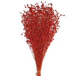 LINO 50 cms. ROJO (59)