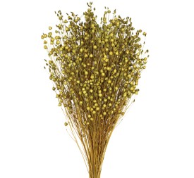 LINO 50 cms. VERDE (69)