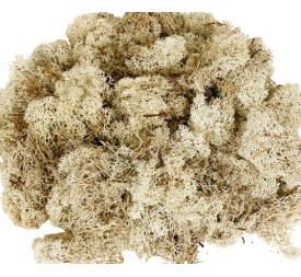 MUSGO FINLANDES PRES.500 grs. CREMA (01)