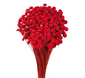 BOTAO 45 cms. ROSA (48)