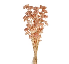 LONAS PRESS 50 cms. ROSA CLARO (40)