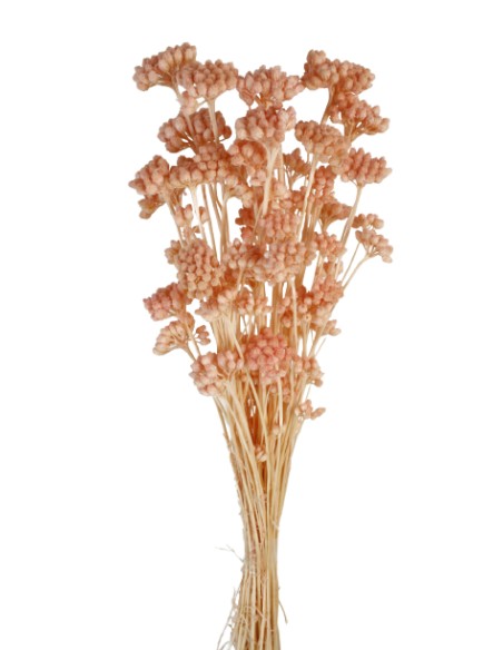 LONAS PRESS 50 cms. ROSA CLARO (40)