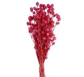 YBALL GRASS PRESS. 50 cms.ROSA (45)
