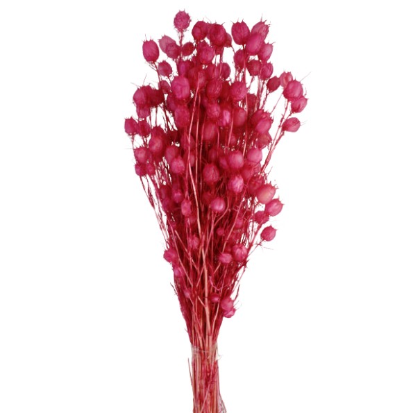 YBALL GRASS PRESS. 50 cms.ROSA (45)