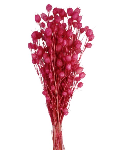 YBALL GRASS PRESS. 50 cms.ROSA (45)