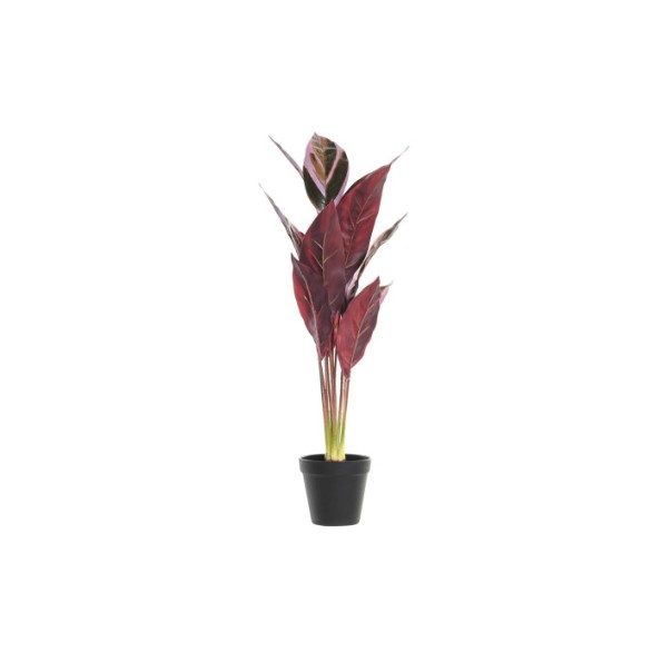 PLANTA PE 25X25X67 ROSA