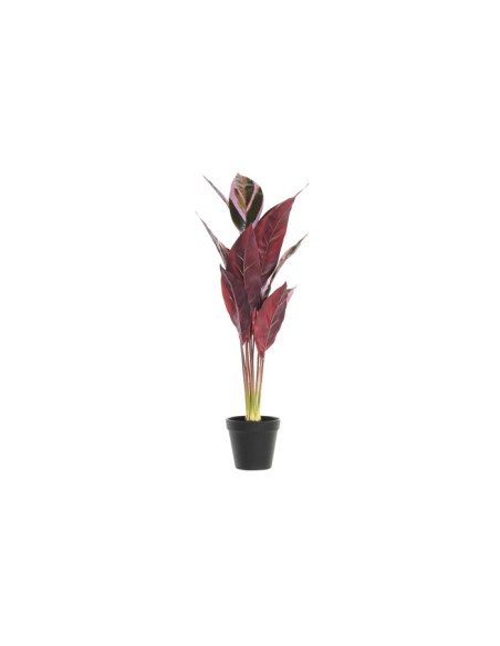 PLANTA PE 25X25X67 ROSA