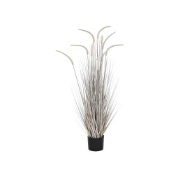 PLANTA PVC 35X35X120 COLA DE PERRO GRIS CLARO