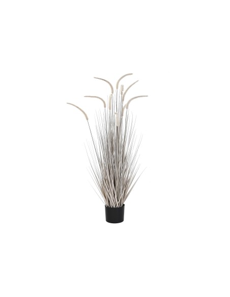 PLANTA PVC 35X35X120 COLA DE PERRO GRIS CLARO