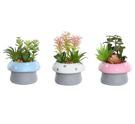 PLANTA CEMENTO PE 9X9X11,5 SETA 3 SURTIDO