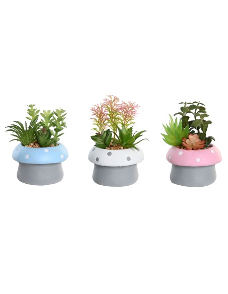 PLANTA CEMENTO PE 9X9X11,5 SETA 3 SURTIDO