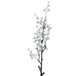 R.NAV.PERLA/SEMILLA PLA.50m(35 (G576-2)