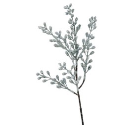 R.NAV.SEMILLAS PLATA 44m(24) (G579-2)