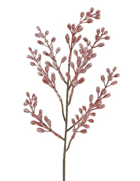 R.NAV.SEMILLAS ROJA 44m(24) (G579-3)