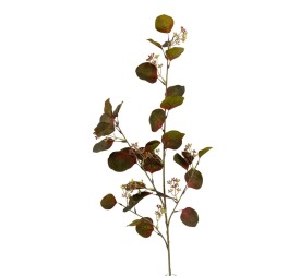 HOJA EUCALIPT. OTO. VERDE 110c
