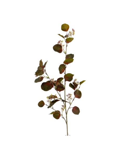 HOJA EUCALIPT. OTO. VERDE 110c