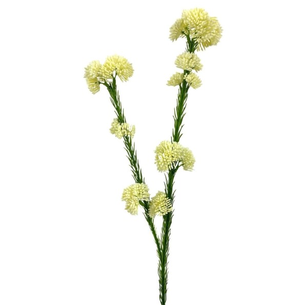 R.SEDUM PLAST.X2 CREMA 57cm(30 (F724-1)