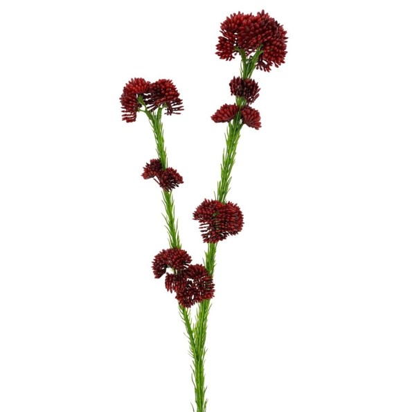 R.SEDUM PLAST.X2 ROJO 57cm(30) (F724-2)