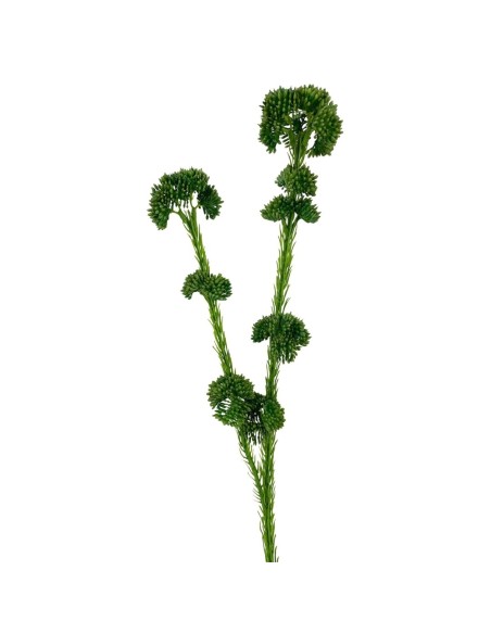 R.SEDUM PLAST.X2 VERDE 57cm(30