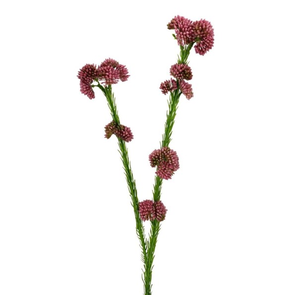 R.SEDUM PLAST.X2 ROSA 57cm(30) (F724-4)