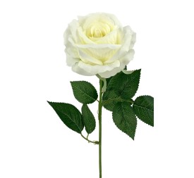 ROSAX1 POLIEST.CREMA 56cm(8cm) (F725-1)