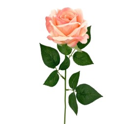 ROSAX1 POLIEST.SALMON 56cm(8c