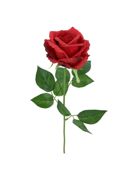 ROSAX1 POLIEST.ROJA 56cm(8cm)