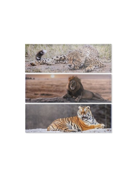 CUADRO LIENZO 90X2,3X30 FELINO 3 SURT.