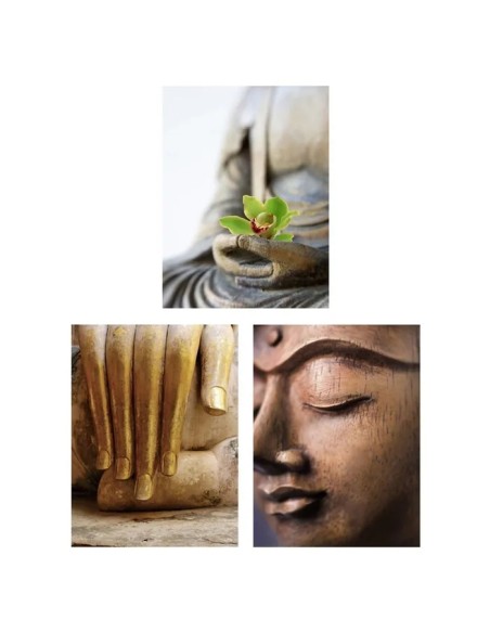 CUADRO FOTOIMPRESIÓN 3/M LIENZO 30 X 1,50 X 40 CM