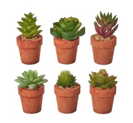 CACTUS 6/M PLÁSTICO 5,50 X 5,50 X 10 CM