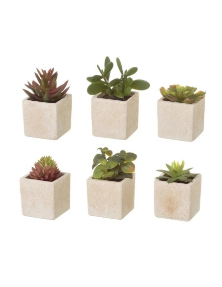 CACTUS 6/M PLÁSTICO 5 X 5 X 9,50 CM