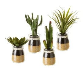 CACTUS 4/M PLÁSTICO 5,50 X 5,50 X 18 CM