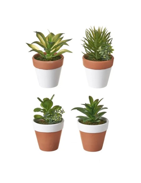 CACTUS 4/M PLÁSTICO 9 X 9 X 14 CM