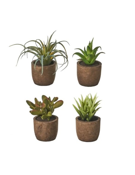 CACTUS 4/M PLÁSTICO 6 X 6 X 10 CM