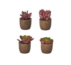 CACTUS 4/M PLÁSTICO 6 X 6 X 10 CM