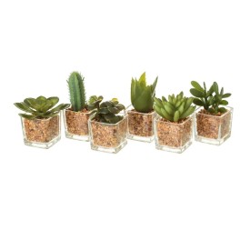 CACTUS 6/M PLÁSTICO 5,40 X 5,40 X 8 CM