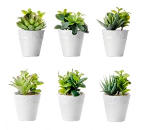 CACTUS 6/M PLÁSTICO 6 X 6 X 11 CM