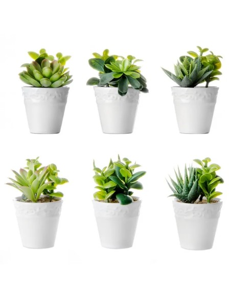 CACTUS 6/M PLÁSTICO 6 X 6 X 11 CM