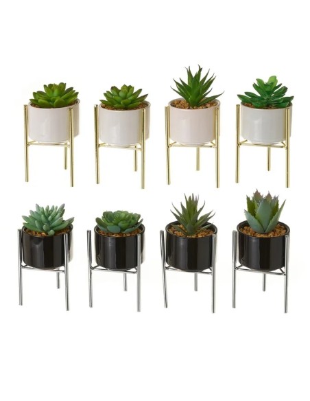 CACTUS 8/M PLÁSTICO 8 X 8 X 18 CM