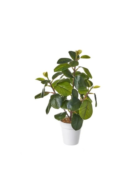 PLANTA PLÁSTICO 15 X 12 X 29 CM