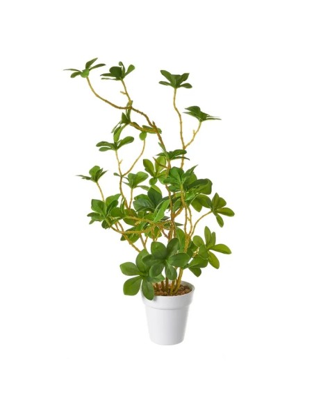 PLANTA PLÁSTICO 20 X 20 X 41 CM