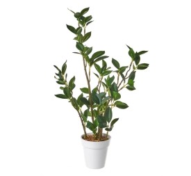 PLANTA PLÁSTICO 11 X 11 X 40 CM