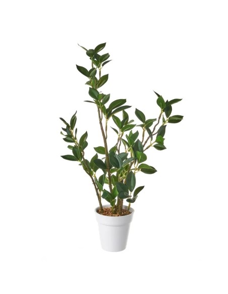 PLANTA PLÁSTICO 11 X 11 X 40 CM